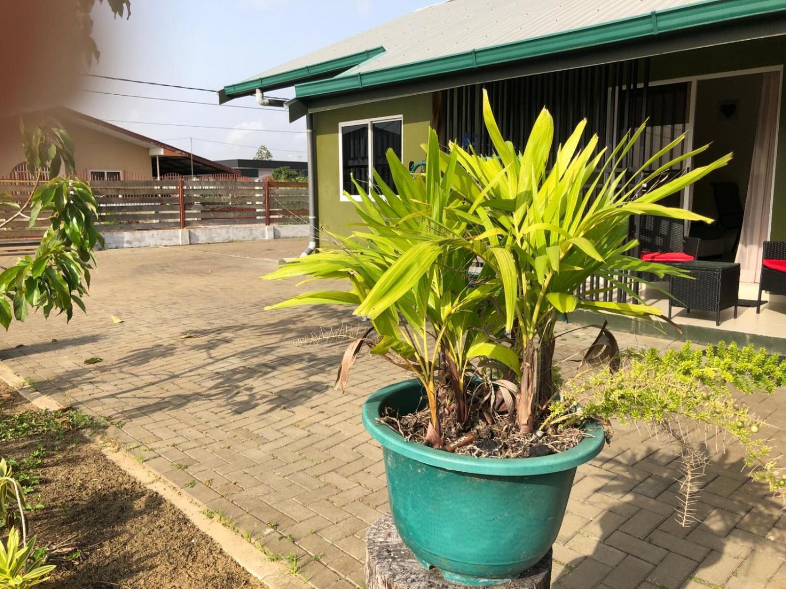 Grapefruitstraat Apartment Paramaribo Exterior photo